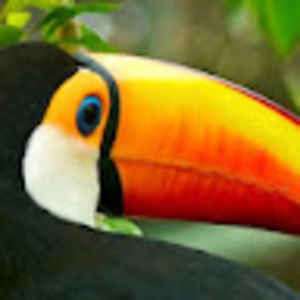 Meet your Posher, Alishah